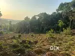 വാകത്താനം പഞ്ചായത്തിലെ 70 സെന്റ് ഭൂമി കൃഷിക്ക് പാട്ടത്തിനോ വാടകയ്‌ക്കോ