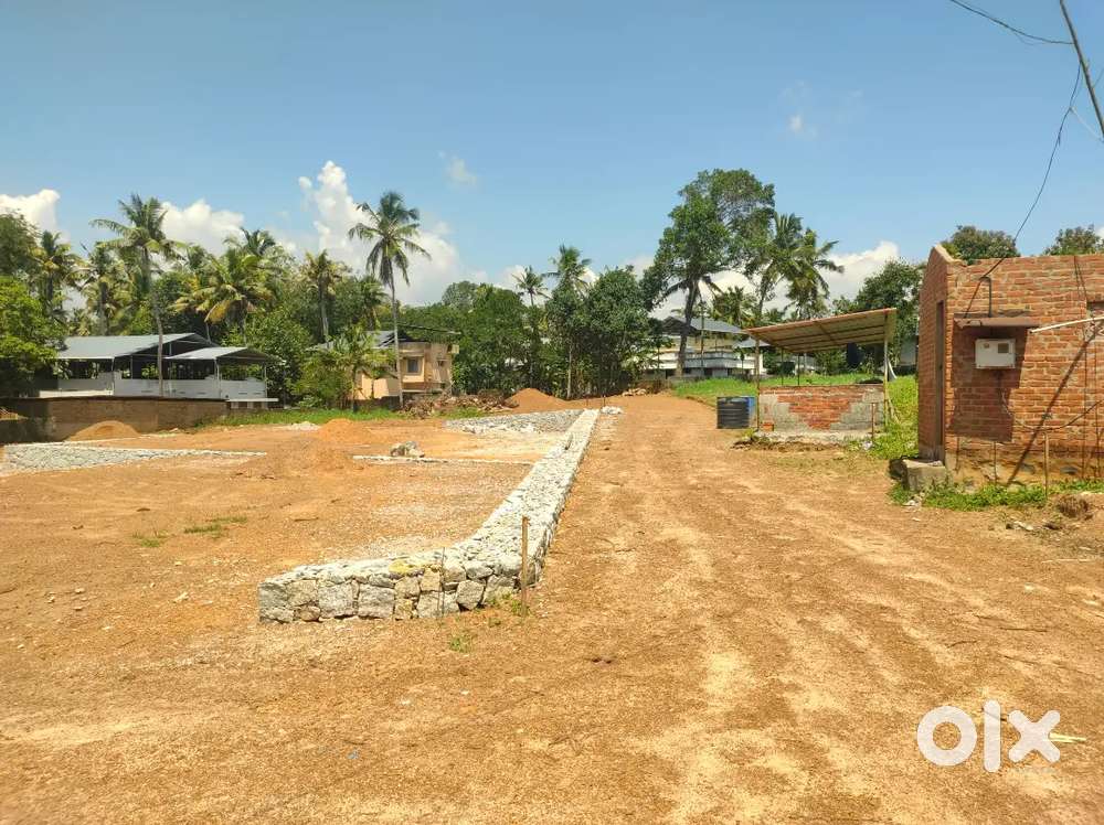 Trivandrum mannanthala ( brockers excuse )