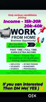 Work from home(part time/full time)