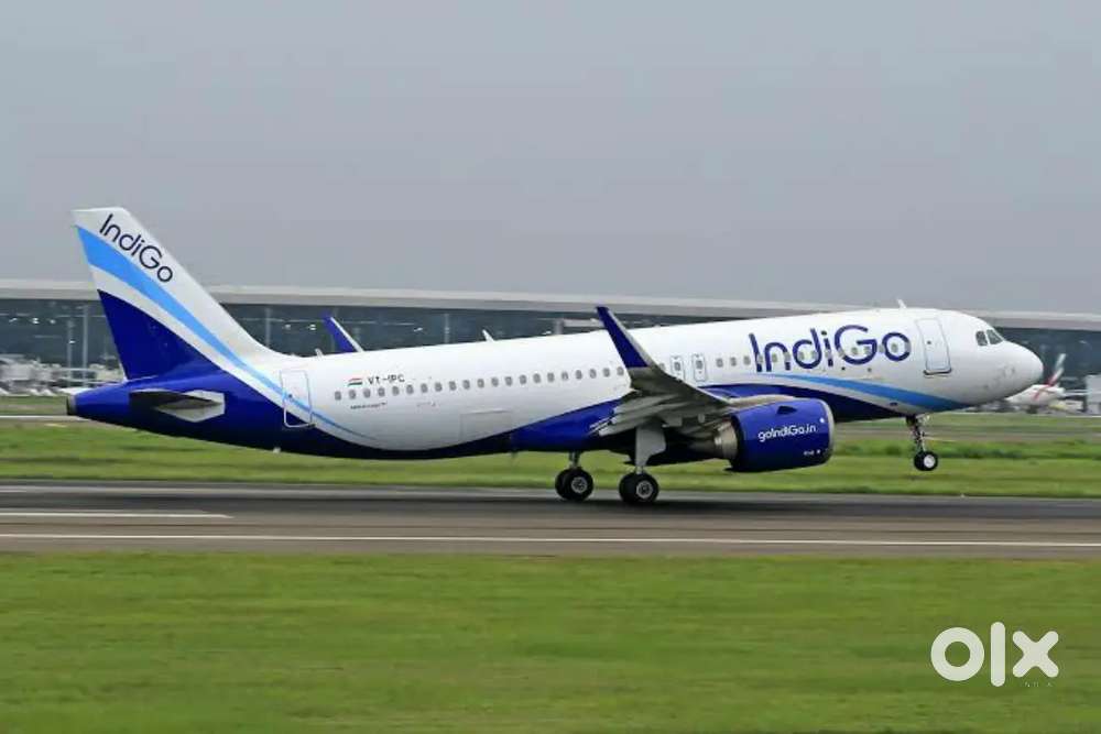 Indigo Airlines jobs /Vacancy for Airport Ground staf / Driver / Crew