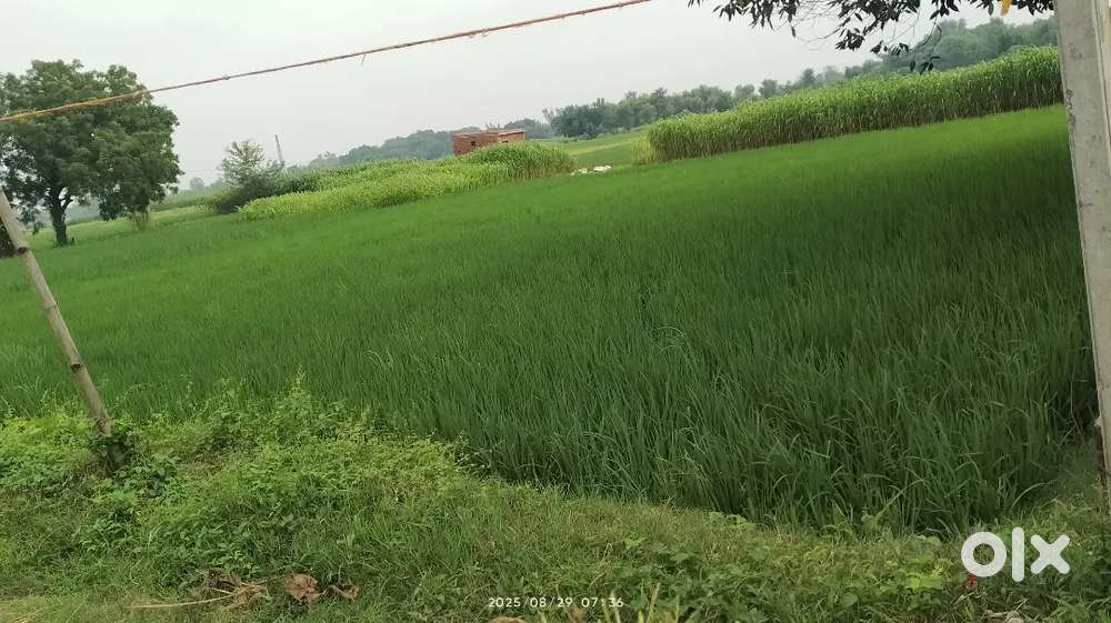 500 meter away from market Only interested person contact