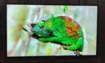 Redmi 126 C.m 50 inch 4K ultra HD
