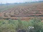 2 acres land