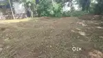 Plot for sale 12 cent  mancha velloorkkonam