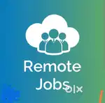 I need remote job