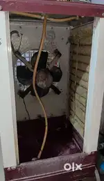 2 Year old Cooler On working