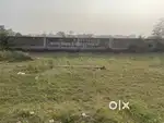 Big Size plot at Cheaper rate in Beautiful colony