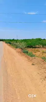 Low budget plot for sale.கோணப்பனேந்தல் விளக்கு To மஞ்சம்பட்டி பாதை.