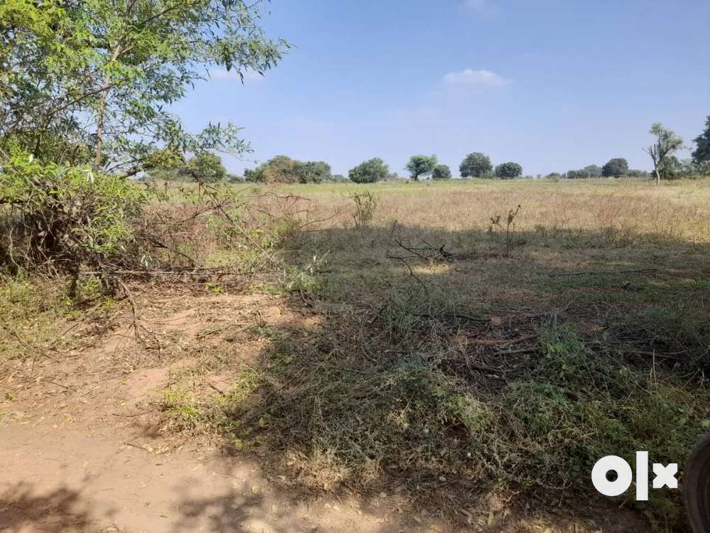 1 Acre Agri land for sale,3 km from Warangal Highway,20 lakh per Acre.