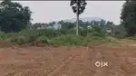 Lankelapalem to sabbavaram Main road facing LRS paid plots for sale