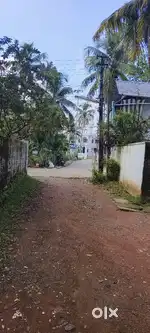 1st floor renting