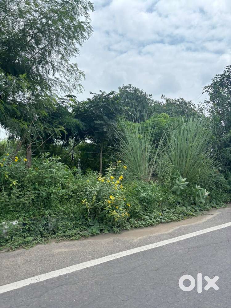 2.5 acre taksim on road land sadaura to naryangarh road for sale