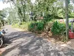 പുതുപ്പള്ളി 20 cent house plot.1.35 .lakh  . cent.