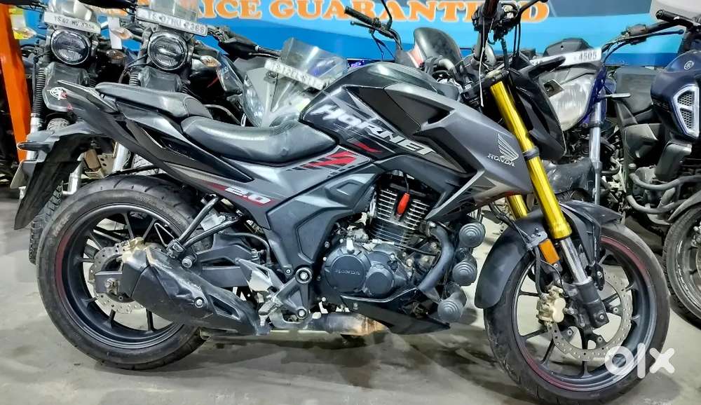 As equals to new hornet year 2020