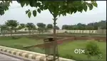 Free stamp duty best plot lucknow.