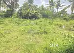 2.50ACRE LAND FOR SALE NALANCHIRA MANNANTHALA