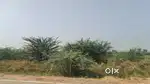 252 square yard, JDA, south, Commercial plot for sale at Jagatpura