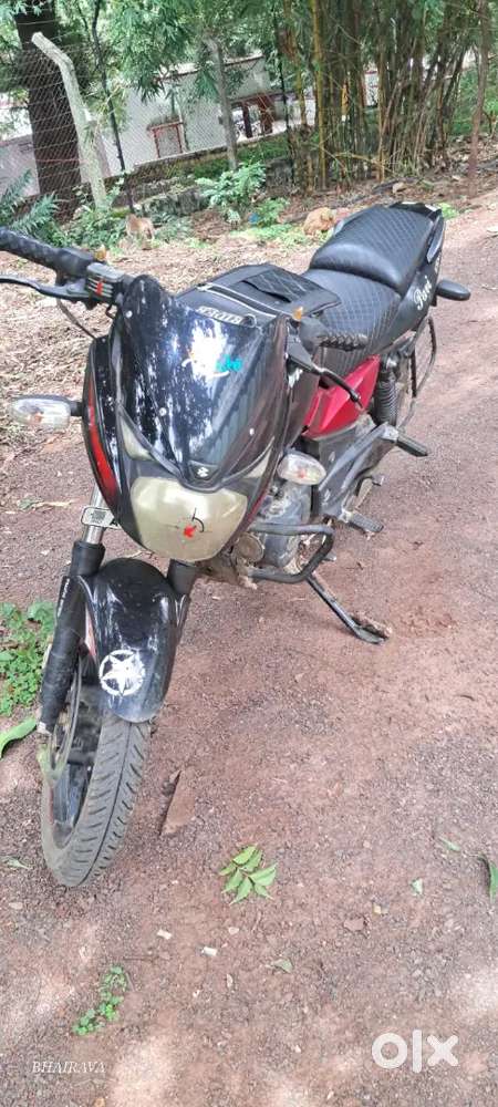 Plusr 150 BS4