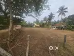 Empty land available for Rental