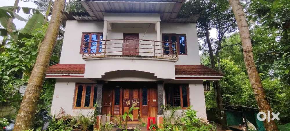 Chottanikara near 2 km vennikulam 1 km