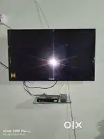 Willett tv