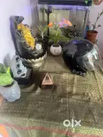 Study table