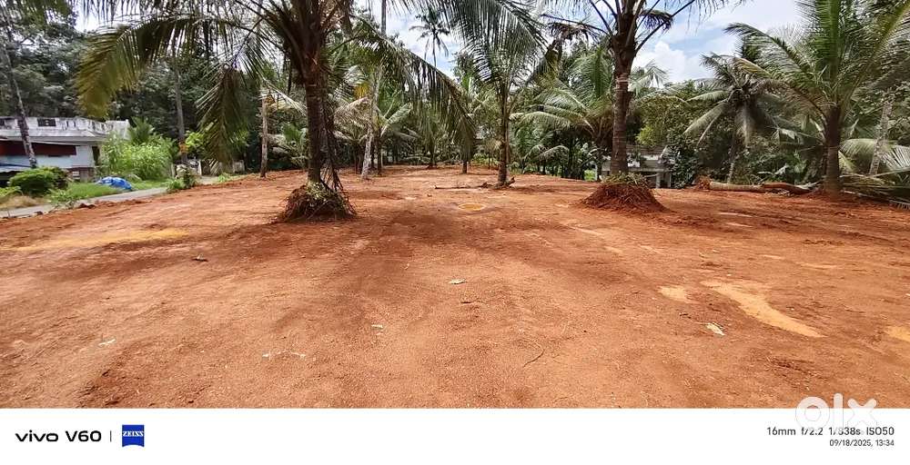 Kothamangalam pothanicad house plots for sale