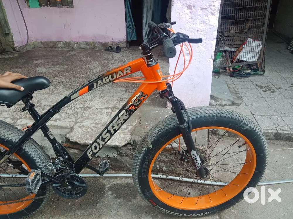 Jaguar  cycle