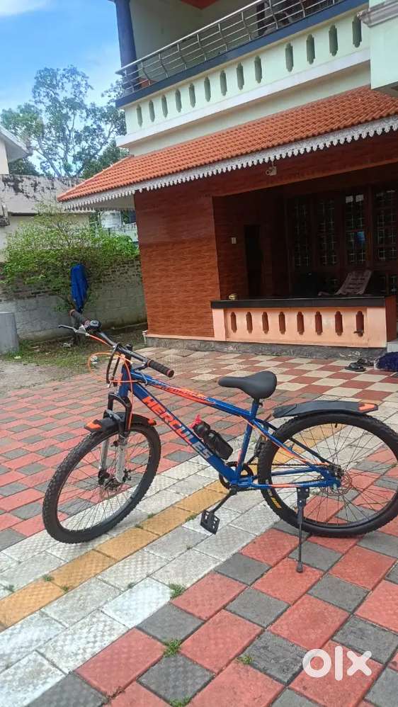 One month Old Hercules Cycle