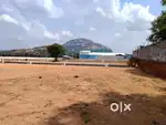 Very lowest prices in saravanampatti thudiyalur main road near
