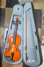 Arctic violin with case.