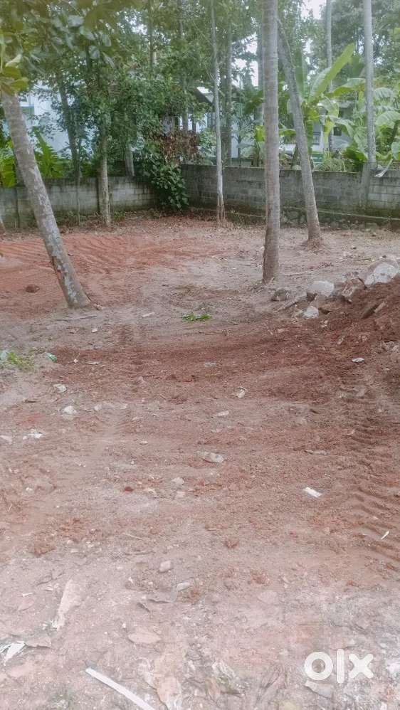 Residential plot kariyam 6 cent 50 mtr Bus Stop