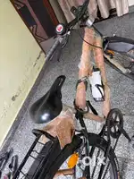 Neelam Cycle