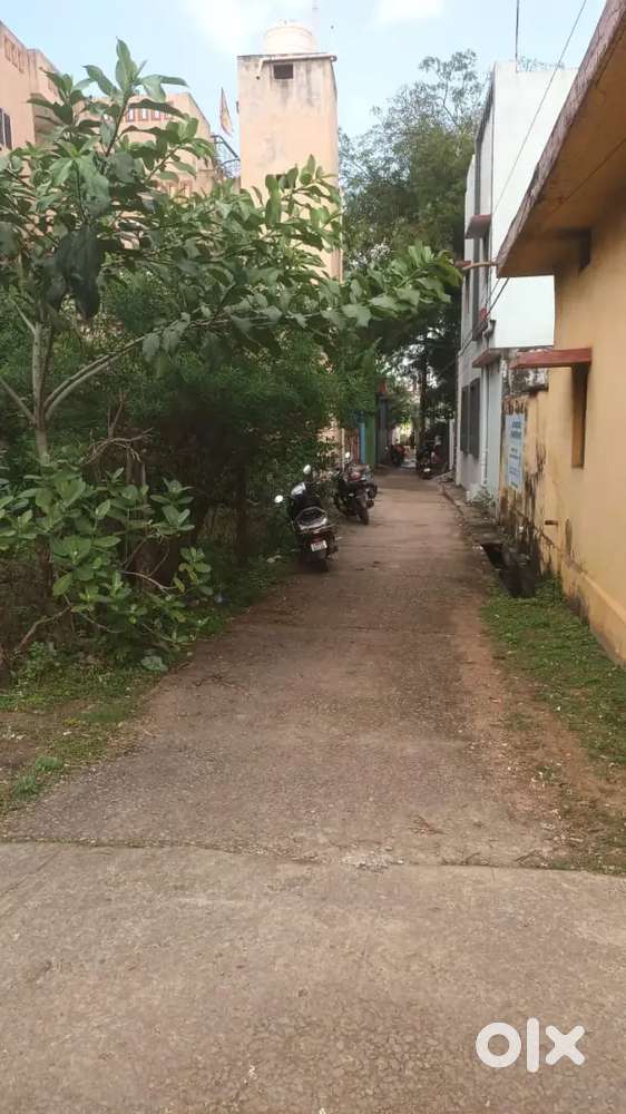 Double road east facing