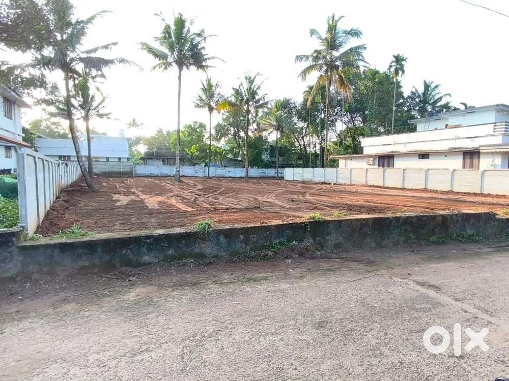 തൃശ്ശൂർ ആമ്പല്ലൂർ കല്ലൂരിൽ പ്ലോട്ടുകൾ വിൽപ്പനയ്ക്ക്