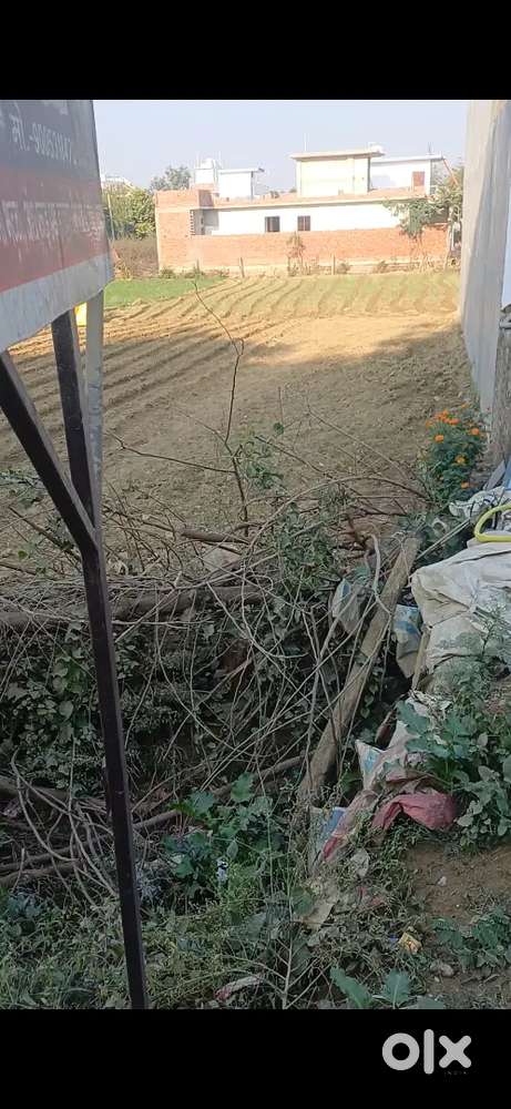 1200 Comercial plot available raitha road near Hanuman temple