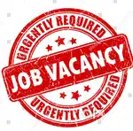 JOBS in indigo Airlines urgent hiring apply fast