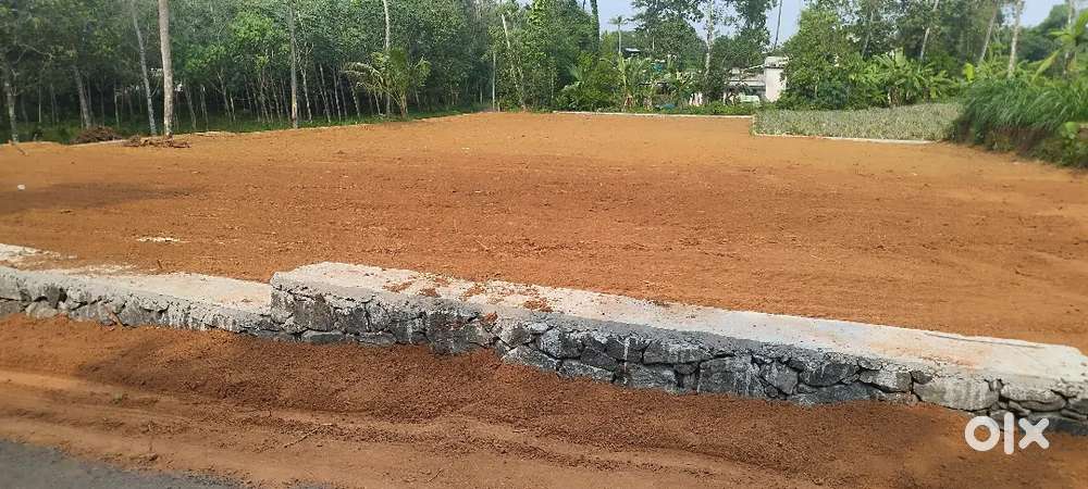 25 CENT LAND FOR SALE AT PALLIKARA PAZAMTHOTOM