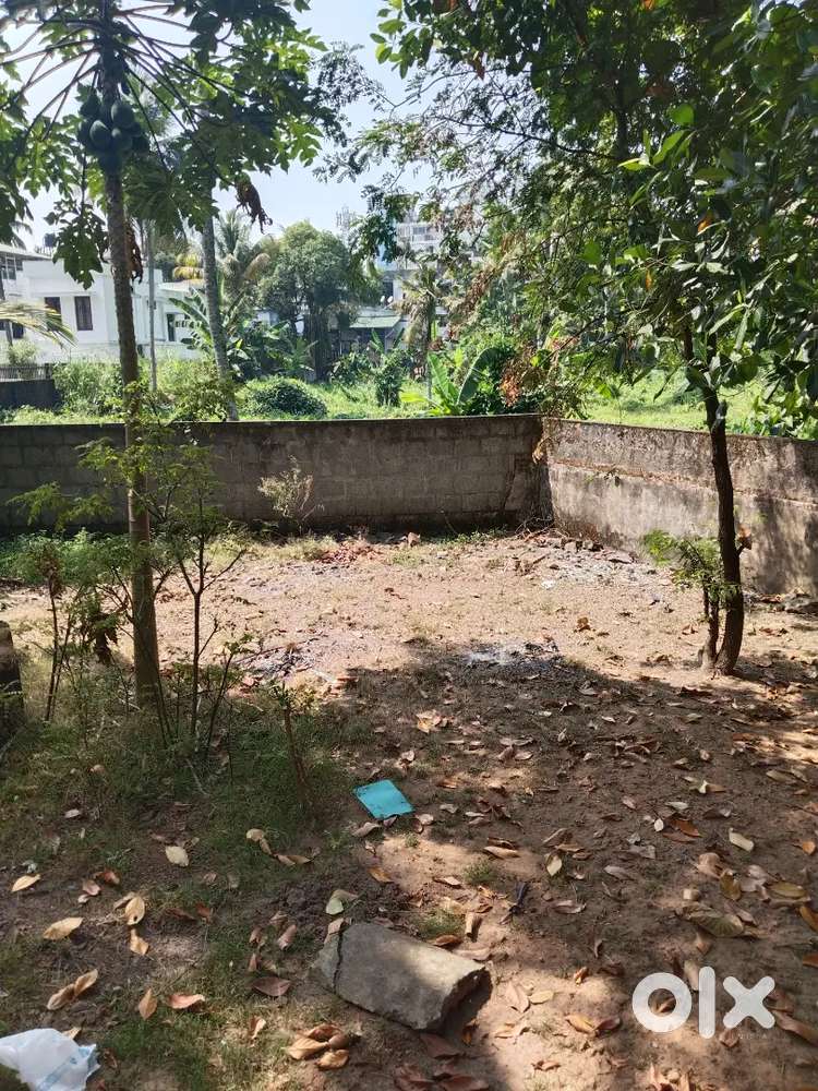 Sale 7cent plain land