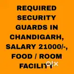 Security guard Job chandigarh 17
