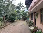 25 CENT LAND WITH HOUSE FOR SALE IN MANANTHAVADY