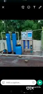 Drinking water plant sale