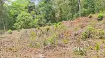 ഏറ്റുമാനൂർ മംഗളം കോളേജിന് സമീപം. എല്ലാവിധ വാഹനങ്ങളും വരുന്ന സ്ഥലം..