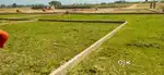 Ekana stadium se kuch hi duri par plot le turant registry aur kabja