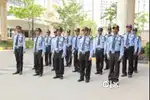 Security Associate