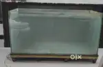 Big Fish Tank