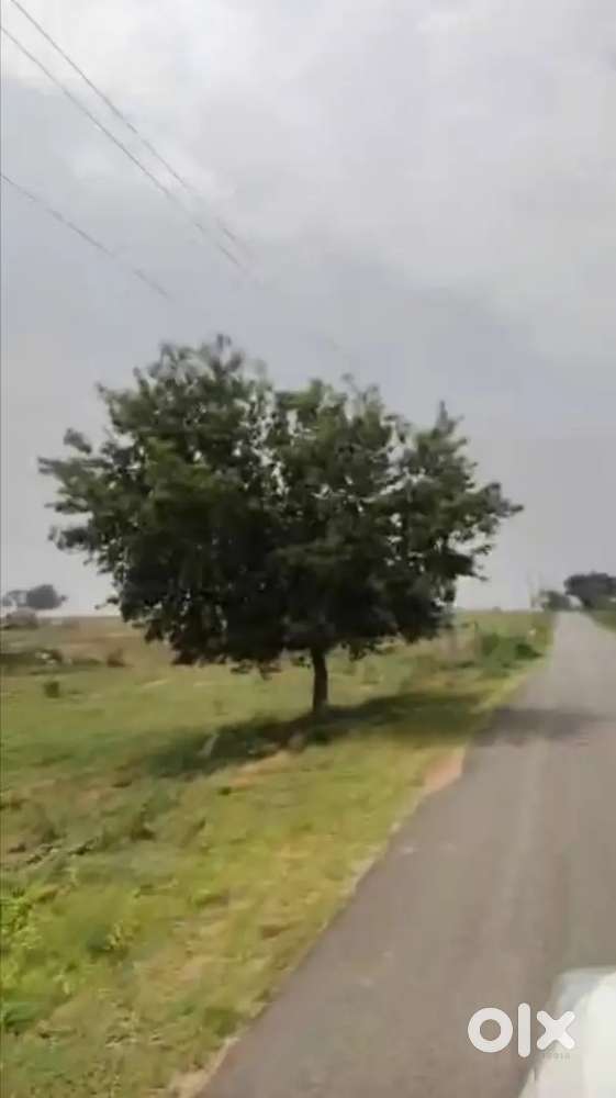 Plotting development land