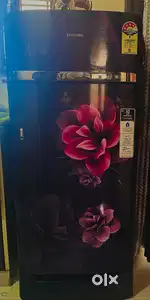 Samsung 198 ltr Single Door Refrigerator 2021 Model, 4 Star
