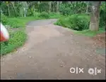 Poovathoor