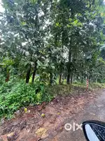 Roadside,10cent house plot